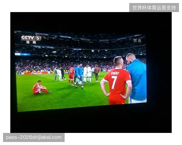 国家体育场世界杯模拟演练中如何防御地理边界溢出？